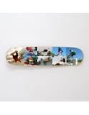 Skateboard Album