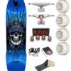 Skate Completo Powell Peralta Andy Anderson Heron 7-Ply Blue Foil 8.45