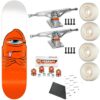 Skate Completo