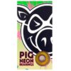 Rodamientos Pig Neon Bearings