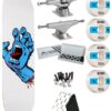Santa Cruz Screaming Hand Skate Completo 8.25