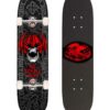 Skate Completo Freestyle Powell Peralta Per Welinder negro