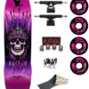Skate Completo Powell Peralta Andy Anderson Heron Pink Foil 9.13