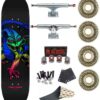 Skate Completo Powell Peralta Cab Dragon Green Fade 8.75