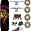 Skate Completo Powell Peralta Cab Dragon Orange Fade 8.25