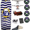 Skate Completo Powell Peralta Flight Ripper Blue White 9.7