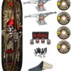 Skate Completo Powell Peralta Flight Zach Doelling Archer Gold Foil 8.3