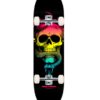 Skate Completo Powell Peralta McGill Skull & Snake Colby Fade 8.5