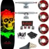Skate Completo Powell Peralta Ripper Fade 8.5"