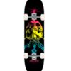 Skate Completo Powell Peralta Skull & Sword Fade Black 8.25