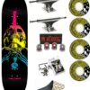 Skate Completo Powell Peralta Skull & Sword Fade Black 8.25