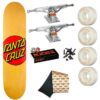 Skate Completo Santa Cruz Classic Dot Independent