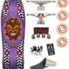 Skate Old School Powell Peralta Nicky Guerrero Purple 10"
