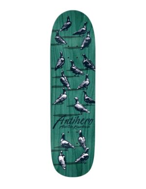 Tabla Antihero Dawn of the Pigeon Kanfoush 8.5