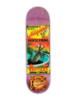 Tabla Antihero Grant Taylor Motel18 8.62