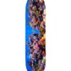 Tabla Mini Logo Fish Tank 8 5 Precio Rebajado por Tiempo Limitado