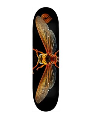 Tabla Powell Peralta Biss Potter Wasp 8