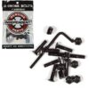 Tornillos skate Independent 1 Black Allen