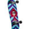 completo Powell Peralta Steve Steadham Spade Purple Aqua
