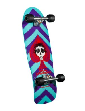 completo Powell Peralta Steve Steadham Spade Purple Aqua