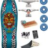 comprar Old School Reissue Powell Peralta Nicky Guerrero 10
