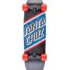 santa cruz Cruiser Flier Collage