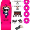 Old School Powell Peralta OG Mike McGill Skull & Snake Hot Pink