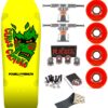 Skate Completo Old School Powell Peralta Claus Grabke Aqua Yellow