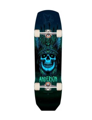 Skate Completo Powell Peralta Andy Anderson Heron Teal 9.13