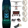 Skate Completo Powell Peralta Andy Anderson Heron Teal 9.13