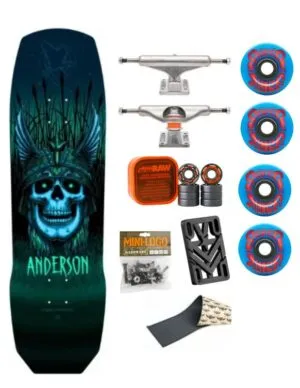 Skate Completo Powell Peralta Andy Anderson Heron Teal Blue 9.13